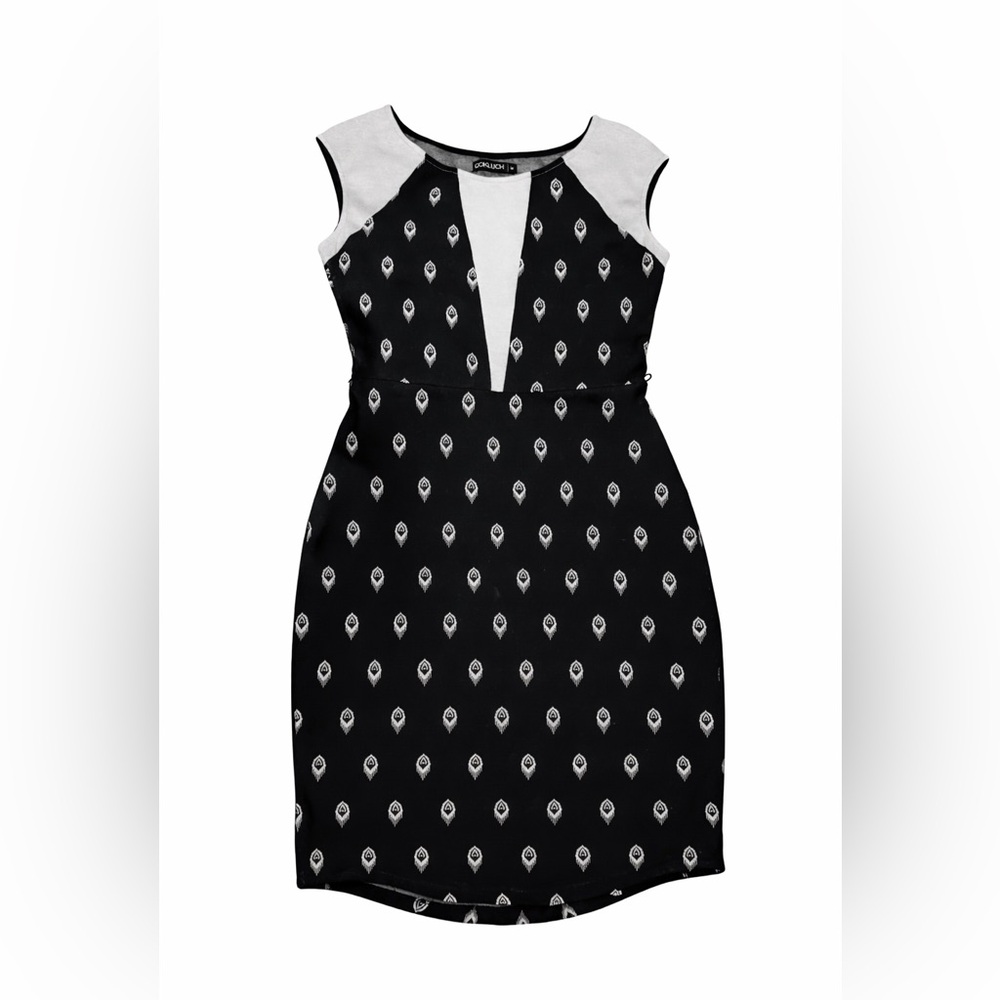 Elegant Black and White Mini Dress